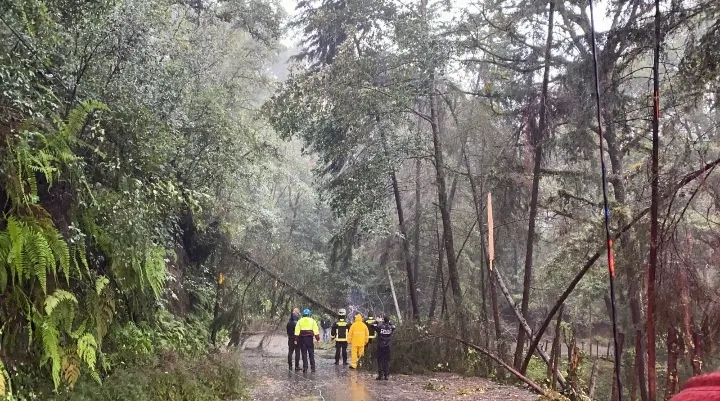Huracán “Grace” deja sin luz y líneas telefónicas a familias de la Sierra Norte