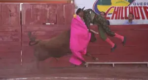 VIDEO: Impresionante cornada provoca fractura de vértebras a ‘El Pana’