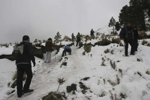 En un 30% se incrementa el ascenso de personas a volcanes y montañas que rodean Puebla: Cruz Roja