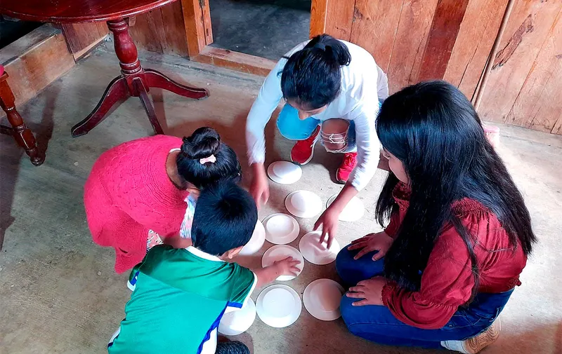 iedep-proyecto-educativo-de-vinculacion-social
