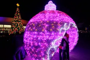 Se esperan más de 20 mil asistentes a los atractivos navideños: IMACP