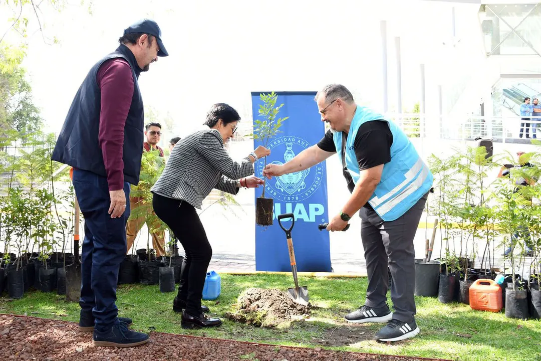 Buap Maraton De Reforestacion Universitaria