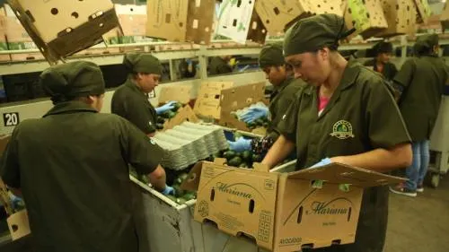 Exportaciones mexicanas registran su mayor incremento en 6 meses