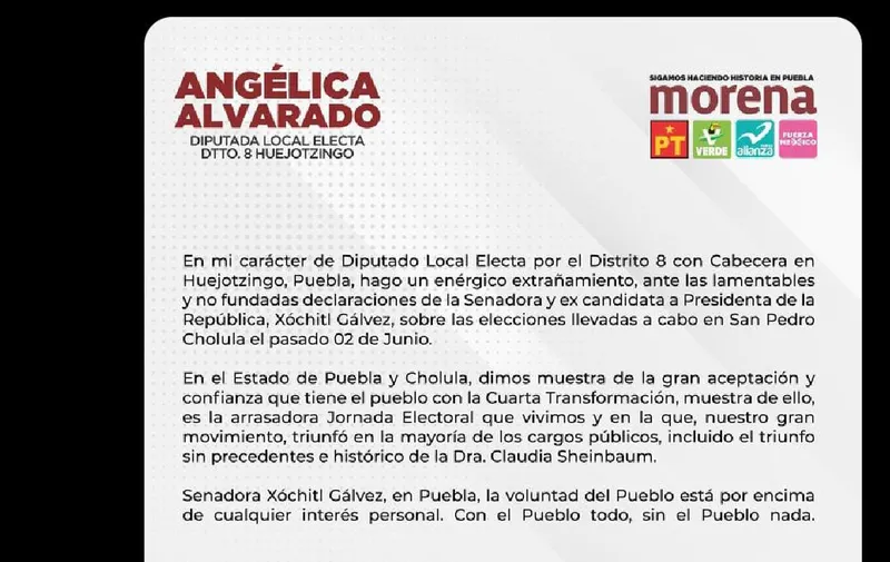 Diputados-de-Morena-respaldan-triunfo-de-Tonantzin-Fernández