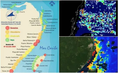Cancún en alerta por la inminente llegada de sargazo