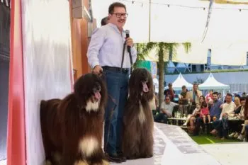 No solo los humanos, también las mascotas merecen una vida mejor: Nacho Mier