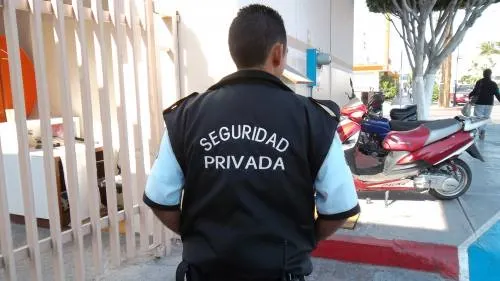Importante profesionalizar a los elementos de seguridad privada: Manuel Alonso