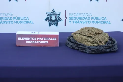 Aseguró unidad canina de la policía municipal de Puebla más de medio kilogramo de posible marihuana