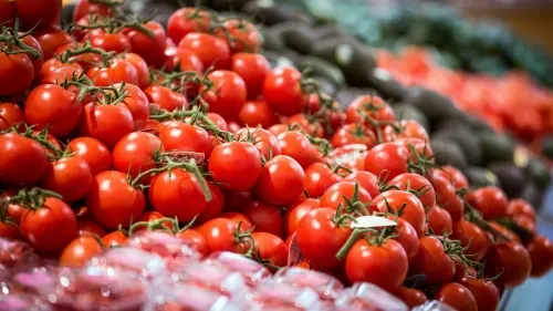 Tomateros mexicanos pagarán desde hoy arancel del 17.5% a EU tras falta de acuerdo entre países