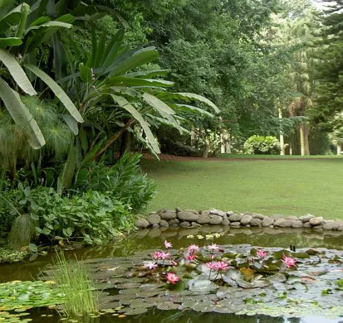 Paseos Culturales CCU BUAP acercarán al público a la diversidad botánica