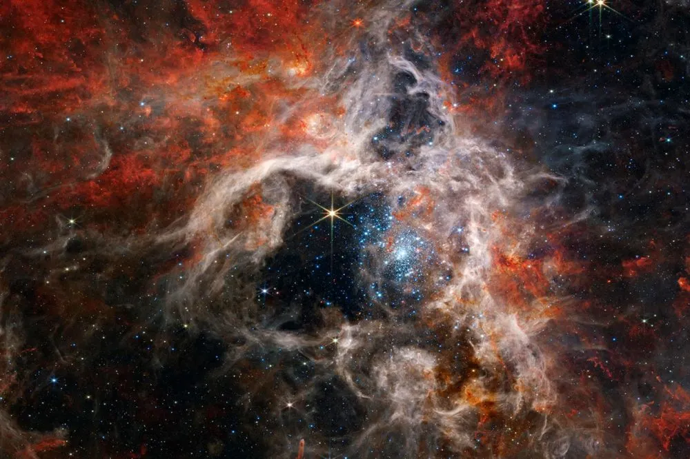Nebulosa De La Tarantula Vivero Estelar