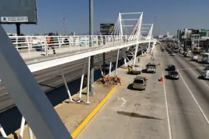 Faltan por sembrar 230 árboles en el Bulevar Hermanos Serdán
