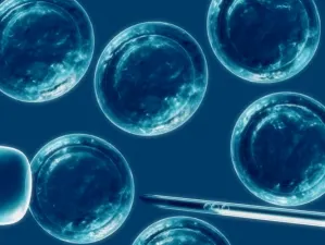 Científicos reprograman células para que actúen como células madre