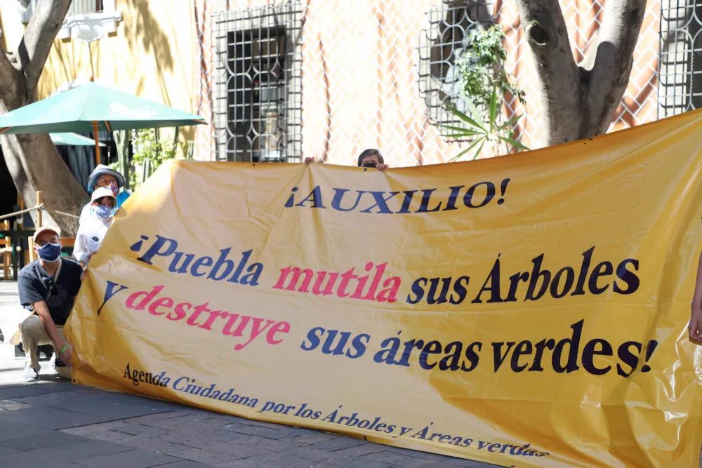 protesta por poda de árboles