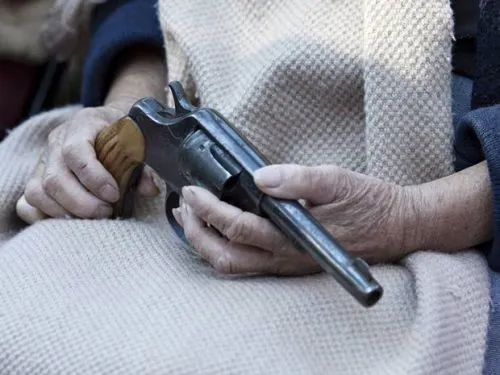 Inundan México 15.5 millones de armas