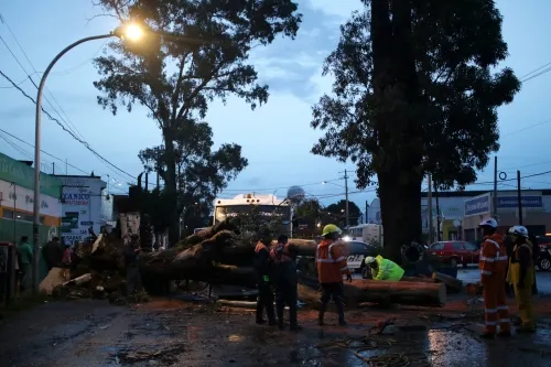Piden a tres niveles de gobierno coordinarse para evitar afectaciones en la Sierra Norte por lluvias