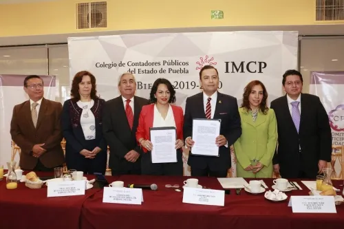Designación de auditor debe ser apegada a la ley, piden contadores