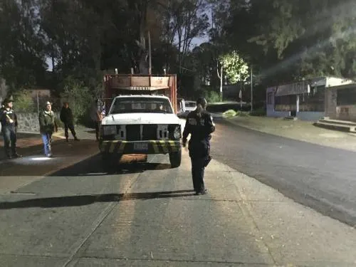 Presenta PROFEPA a una persona al MPF por ilegal aprovechamiento de tierra de hoja