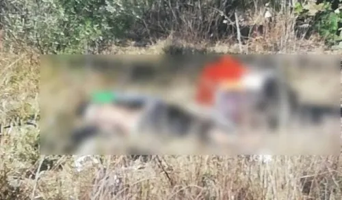 Con narcomensajes, hallan dos cuerpos embolsados en la carretera a Santa Cruz Alpuyeca