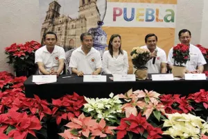 Hasta 450 mil plantas se proyecta vender en Feria de la Flor de Noche Buena