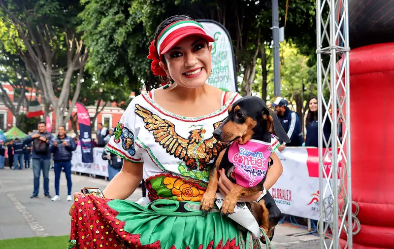 carrera-contigo-y-tus-perritos