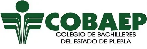 Cobaep justifica plazas que ocupan sus familiares en la institución