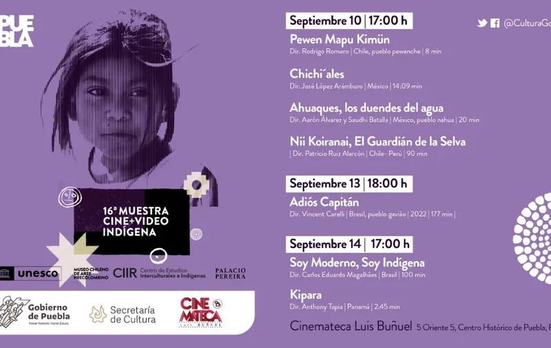Cine+video indígena