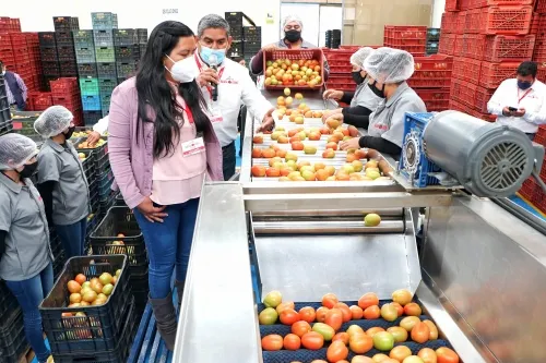 Acompaña SDR primer embarque de tomate de Aquixtla a Estados Unidos