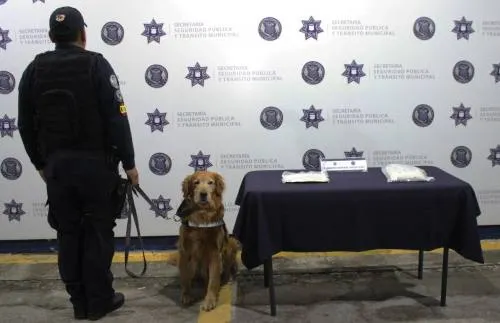 Aseguró unidad canina de la policía municipal de puebla más de un kilogramo de posible heroína