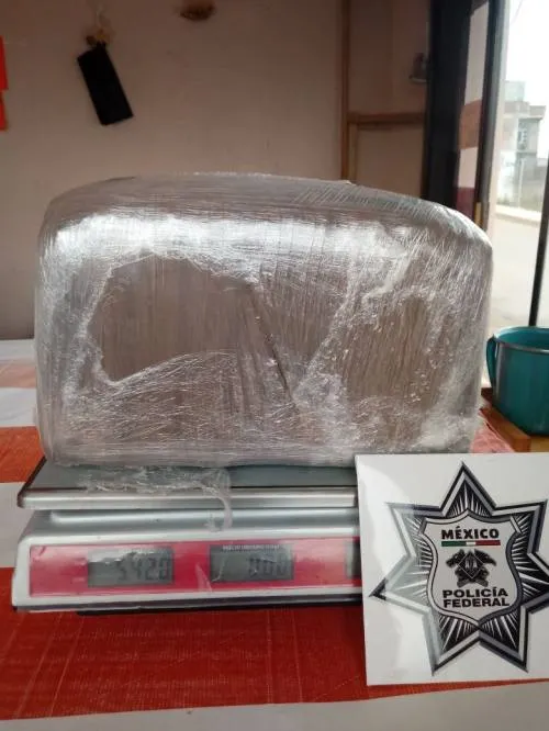 Decomisa Policía Federal maleta con 9 kilos de marihuana en Zacatlán