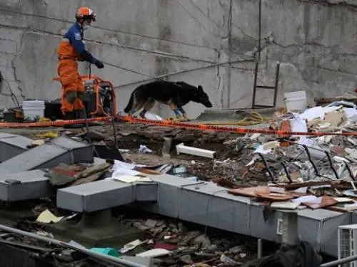 Sube a 293 la cifra de muertes por el sismo: Protección Civil