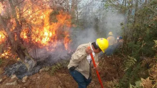 Puebla encabeza mayor afectación forestal por incendios: Conafor
