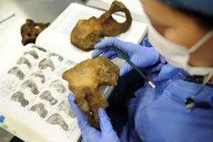 Laboratorio de Innsbruck, en Austria, crucial para caso de normalistas