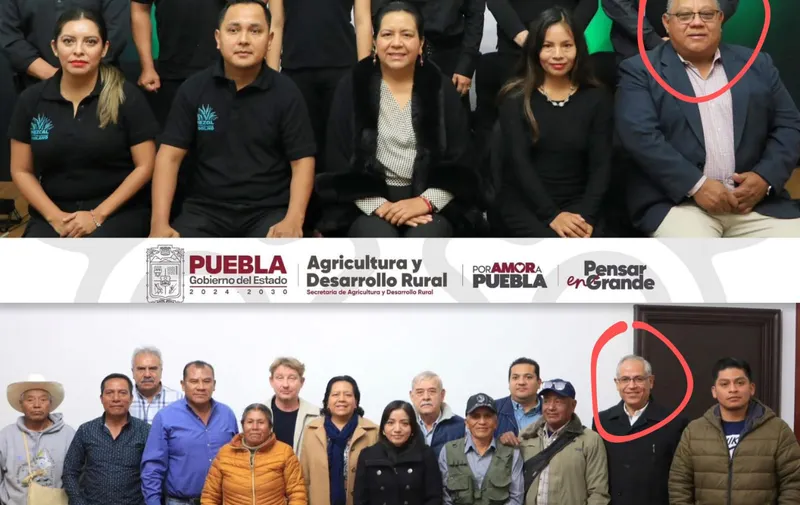Imagen del artículo