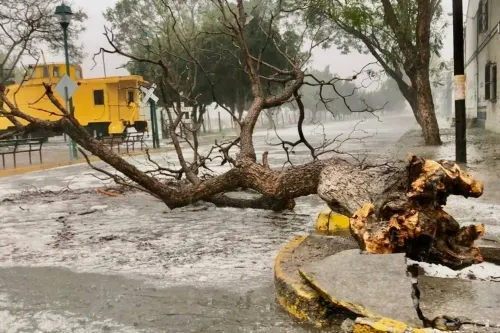 Gobiernos estatales y municipales deben aumentar medidas preventivas en época de lluvias