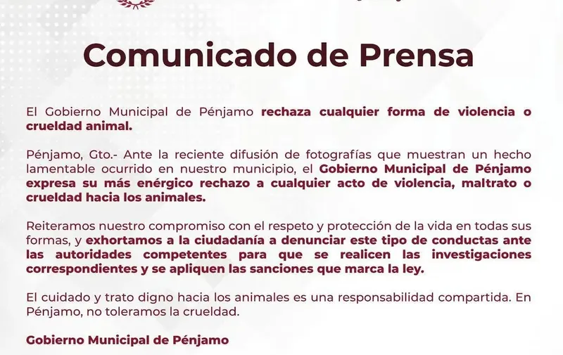 comunicado-gato-asesinado-penjamo-guanajuato