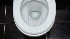 Por qué deberíamos todos empezar a beber agua del inodoro