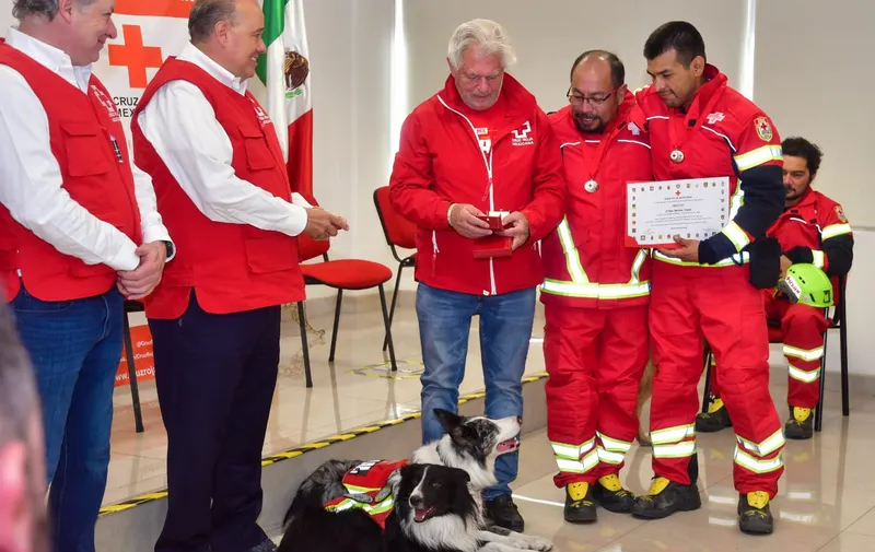 Perritos cruz roja