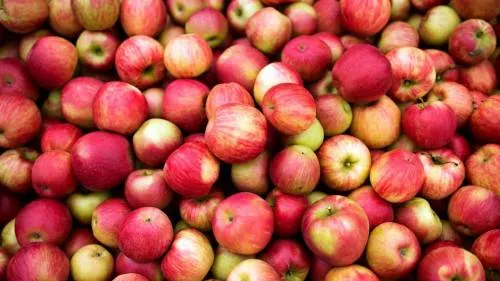 Las manzanas “resistirán” a la guerra de los aranceles