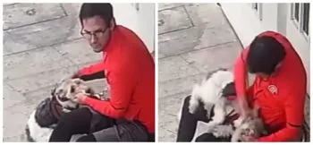 VIDEO: Sujeto golpea a perrito en la cabeza en la colonia Narvarte de Ciudad de México 