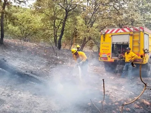 Conafor reporta 6 incendios forestales en cuatro entidades