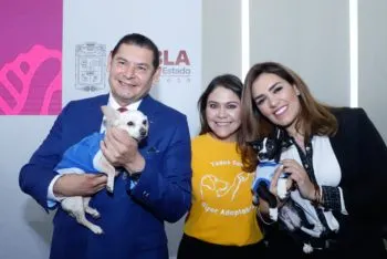Gobierno y Fiscalía de Puebla se coordinan para sancionar agresiones a seres sintientes