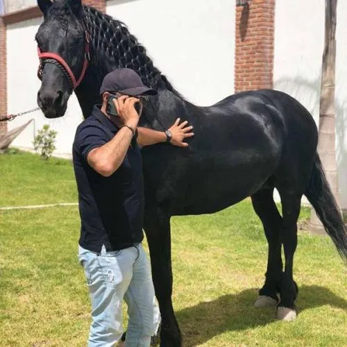 El Toñín, el Humilde Arrancador de Zanahoria que se Convirtió en Sanguinario Capo de Triángulo Rojo