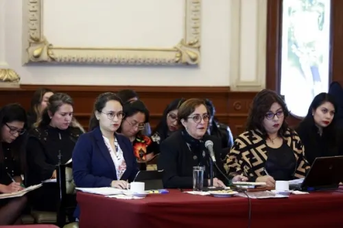 CDMX es el ejemplo de que legalizar el aborto evita muertes: Pérez Osorio
