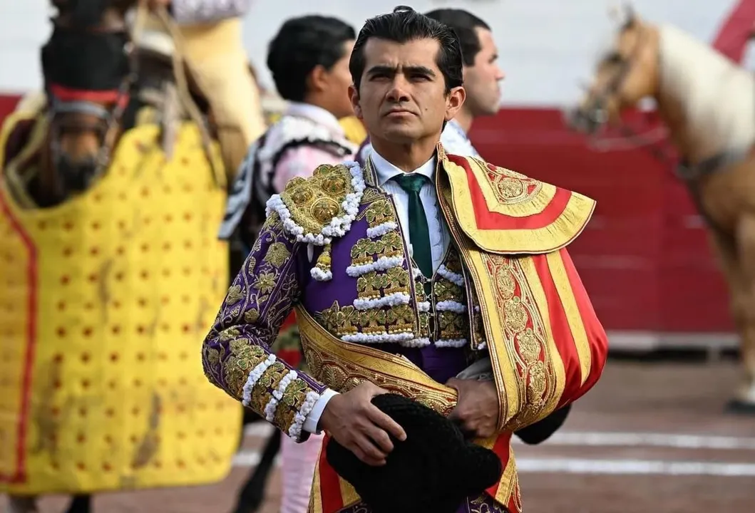 Asociación Nacional de Matadores de Toros, Novillos, Rejoneadores y Similares