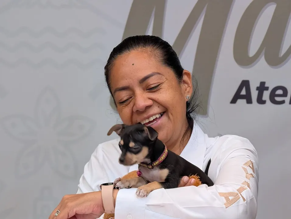 Ariadna Ayala Jornada De Esterilizacion Mascotas