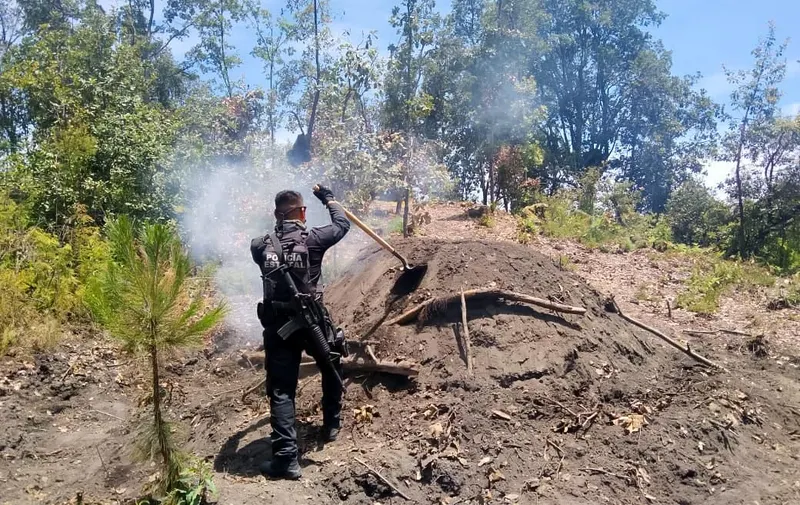 Inhabilita SSP hornos para la deshidratación ilegal de madera