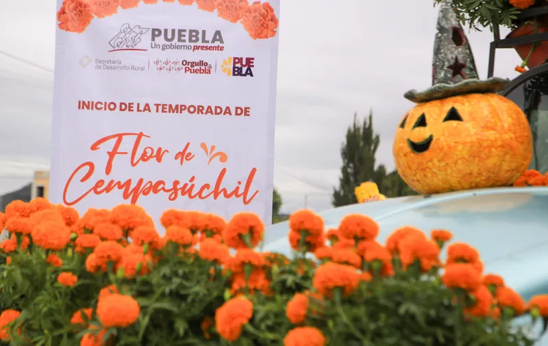 Ruta de las mil flores