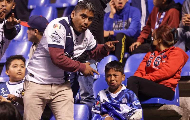 Imagen del artículo