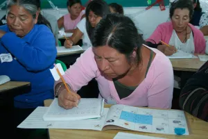 Adultos sin terminar primaria ganan 50% menos que los que estudiaron secundaria